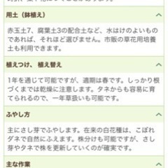 ガウラの画像