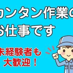 【外国籍の方多数活躍中】プラスティック製品の簡単目視検査の画像