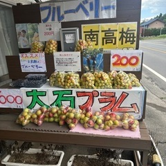 完熟　南高梅　１キロ　200円の画像