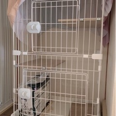 アイリスオーヤマ コンパクトケージ 猫の画像