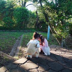 完全英語のサマーキャンプで心に残る夏をすごしませんか？の画像