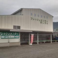 【開成町あじさい祭り】メダカ販売　6月17日、18日の画像