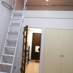 サンライフ布田101号キッチン内装リフォームしたて！今だけ特典あり！