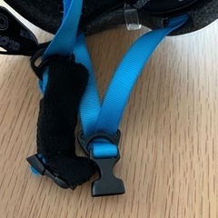 子ども用　ヘルメットの画像