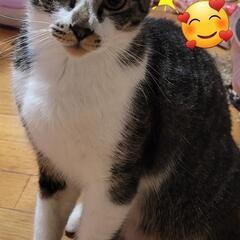 家内で飼育出来る方