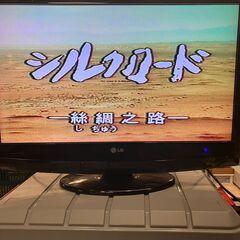 【VHS】NHK特集　シルクロード　全30巻（おまけVHS6本付・全36本）の画像