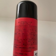 ビッグセクシーヘア パウダープレイの画像