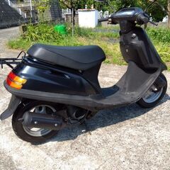ホンダタクト50cc　自賠責保険付