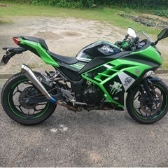 NINJA250 タイヤ前後新品 自賠責約2年付