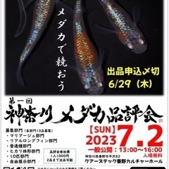 7/2 神奈川メダカ品評会　秦野市で開催！