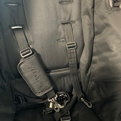 エアバギーの画像