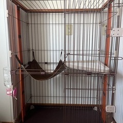 猫 ゲージの画像