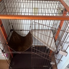 猫 ゲージの画像