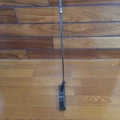 パター　ベンセイヤーの画像