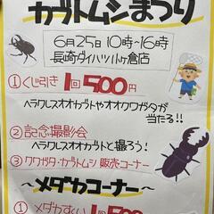 今年もカブトムシ　クワガタの季節‼️