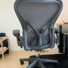 【ヘッドレスト付】アーロンチェア クラシック(HermanMiller ハーマンミラー)の画像