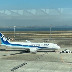 飛行機好きな方。