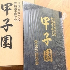 甲子園　栄光の回想録の画像