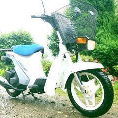 🛵原付🛵 モレット入荷❗️通勤❗️通学❗️配達‼️