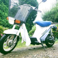 🛵原付🛵 モレット入荷❗️通勤❗️通学❗️配達‼️の画像