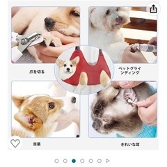 ペットの爪切りなどのケアにの画像