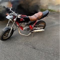 エイプ50の画像