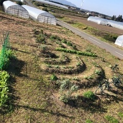 人気上昇中‼︎無肥料無農薬で育てる農業塾生徒募集中 − 鳥取県