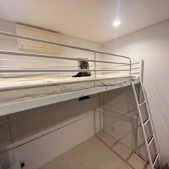 【IKEA】ロフトベット(1週間で締め切ります)