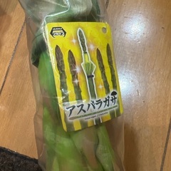 傘 アスパラガサ ジョークグッズ