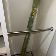 傘 アスパラガサ ジョークグッズの画像