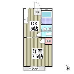 🌻入居費用7万円🌻】✨審査No.1✨ 🔥1階部分🔥