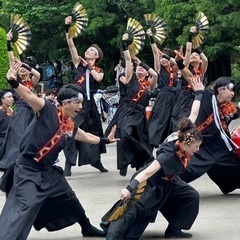YOSAKOIメンバー大募集🎉🎊🎉 - スポーツ