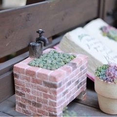 ✴️モルタルデコ®︎／多肉植物寄せ植え教室の画像