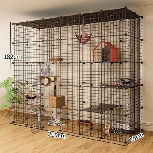 キャットゲージ　猫