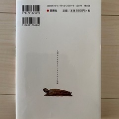 日本の仏像　神　仏　の画像