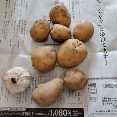 じゃがいも８個　にんにく