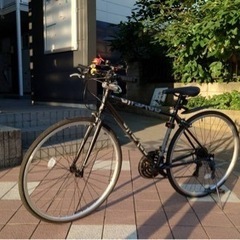 NEXTYLE(ネクスタイル) NX-7021 クロスバイク 自転車 700C 21段変速