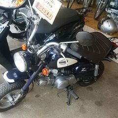 モンキー入荷しましたの画像