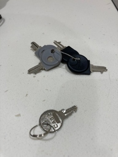 CASIO レジスター　NL-300