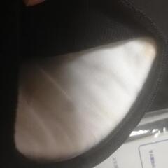 ジュニアひじ用サポーター　2個組　バレーボールの画像