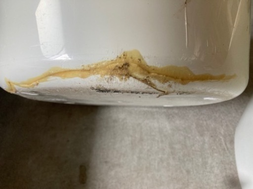 猫トイレ、猫砂