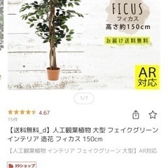 【一旦受付終了】人工観葉植物、お譲りします。の画像