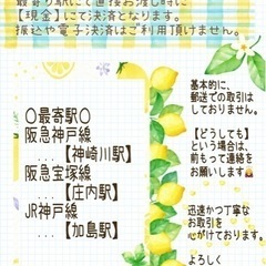 《大きいサイズ/サイズ不明》美品✨青白チュールレースのさらさらスカートの画像