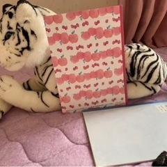 ぬいぐるみの画像