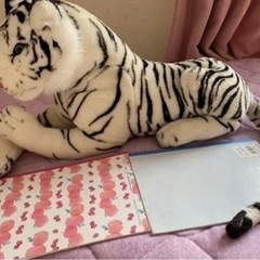 ぬいぐるみの画像