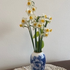 日本水仙　球根　大10個その2  ガーデニング　園芸　花壇
