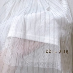 《大きいサイズ/サイズ不明》ストライプ柄チュール風スカートの画像