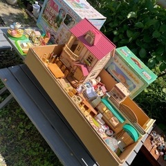 シルバニア大量