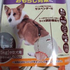 犬用　おむつパンツの画像