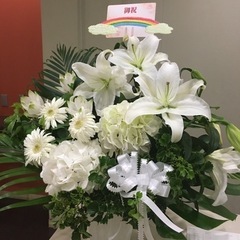 大倉山&綱島ファルベ バイオリン教室　オンラインレッスン可能♪の画像